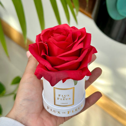 Forever De Fleur™ Mini Round