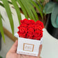 Infinity De Miniature Roses - Square