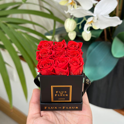 Infinity De Miniature Roses - Square