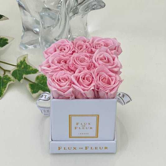 Infinity De Miniature Roses - Square